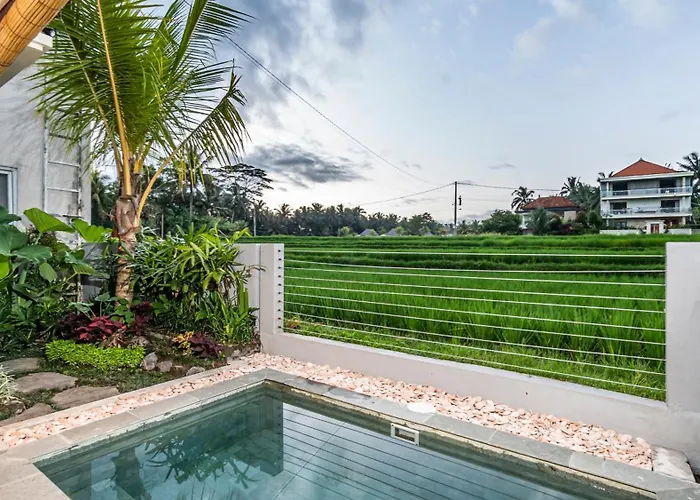 Oda ve Kahvaltı Putih Dcarik Ubud